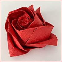 Decor - Kawasaki Rose